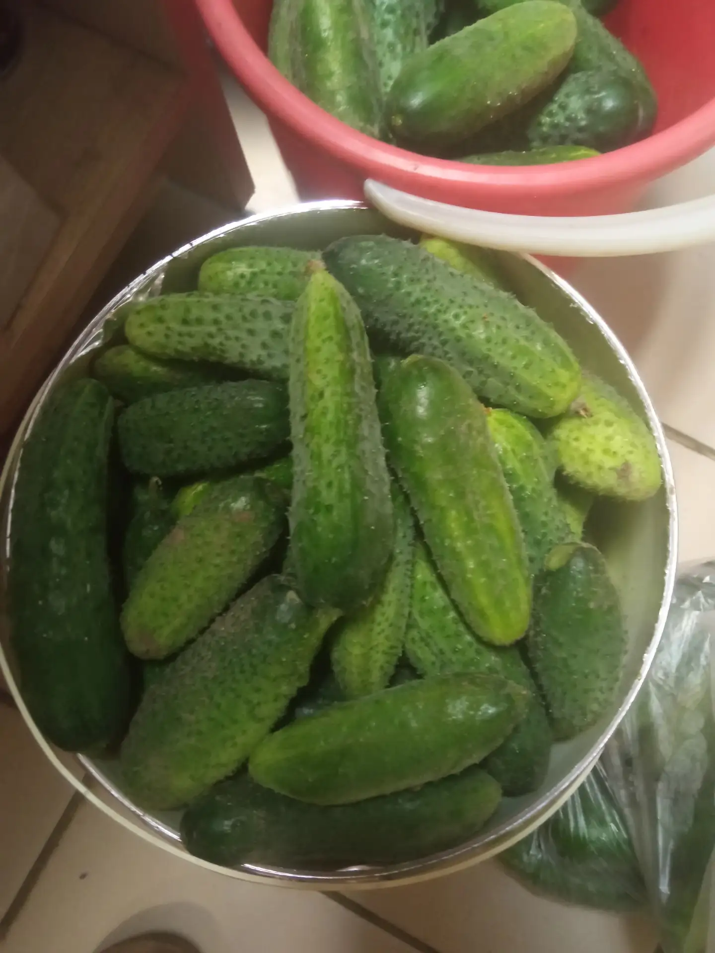 Продам огурцы маленькие для консервации, 1 ГК 100₽

https://vk.ru/kert_lare
