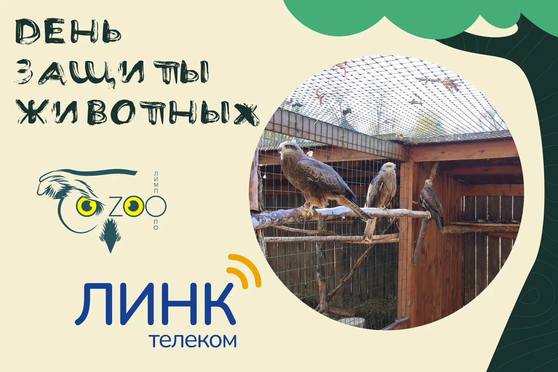 🦅 Вчера, 4 октября, прошел Всемирный день защиты животных. И у нас есть отличный повод...