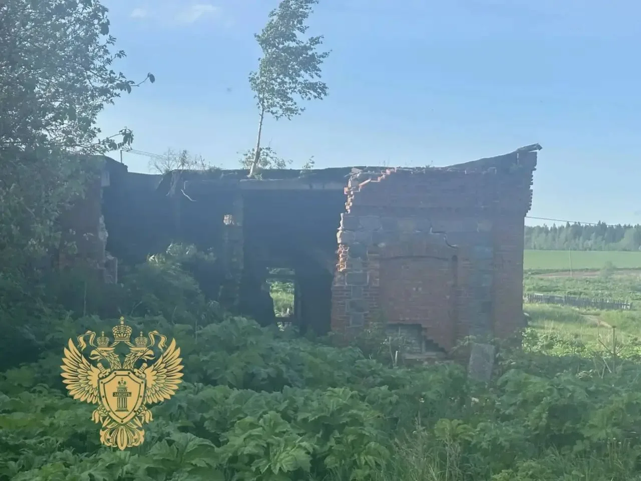 В деревне Терпилицы Волосовского района снесут заброшенное здание бывшей скотобойни, гд...
