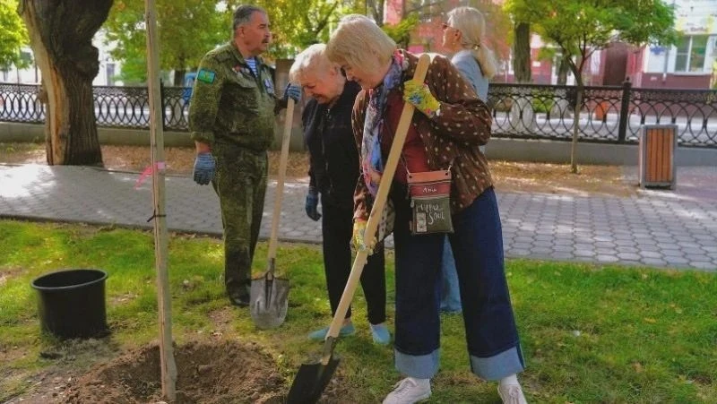 🌳 В Братском саду Астрахани высадили клёнолистные платаны