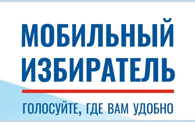 МОБИЛЬНЫЙ ИЗБИРАТЕЛЬ:
