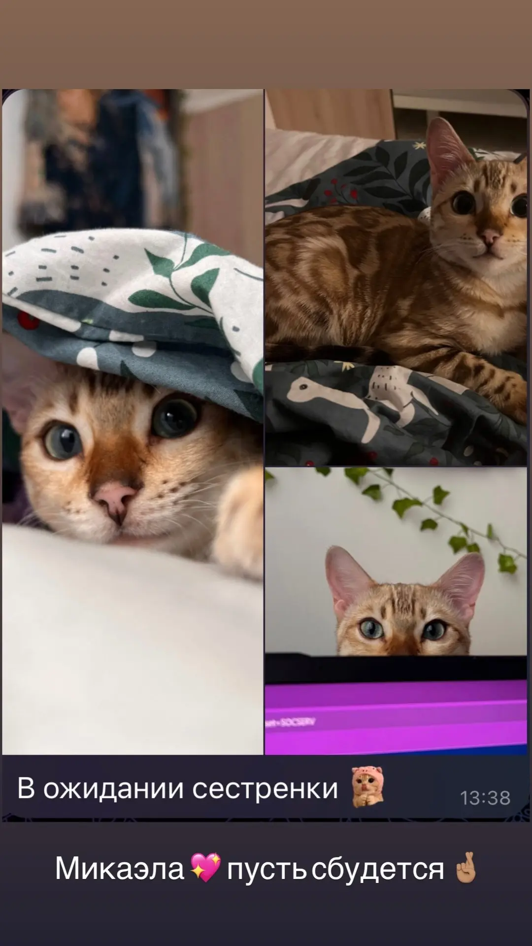 Фото
