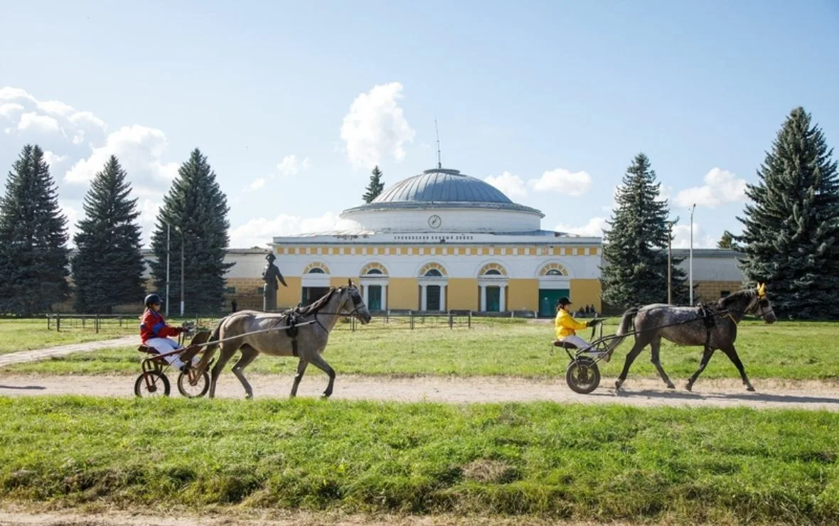 📌В Воронежской области отметили 250 лет орловской рысистой породе