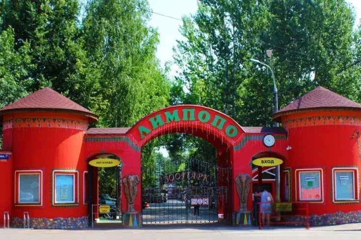 Пенсионеров пустят бесплатно в нижегородский зоопарк «Лимпопо» 1 октября.
