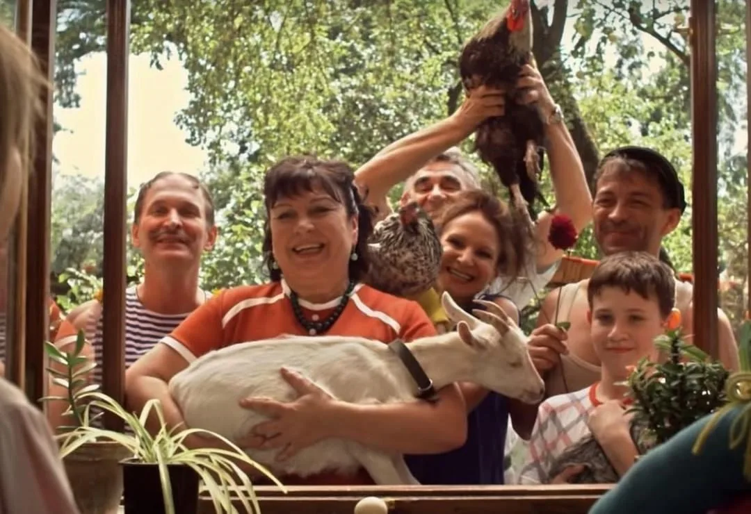 Один из лучших зоопарков, которые мы видели 😅