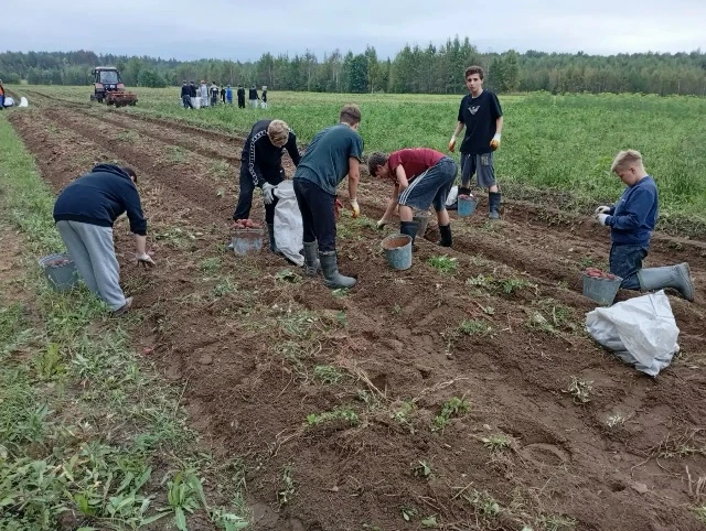 На нашей базе отдыха прошёл насыщенный день, удачно сочетавший трудовые, познавательные...