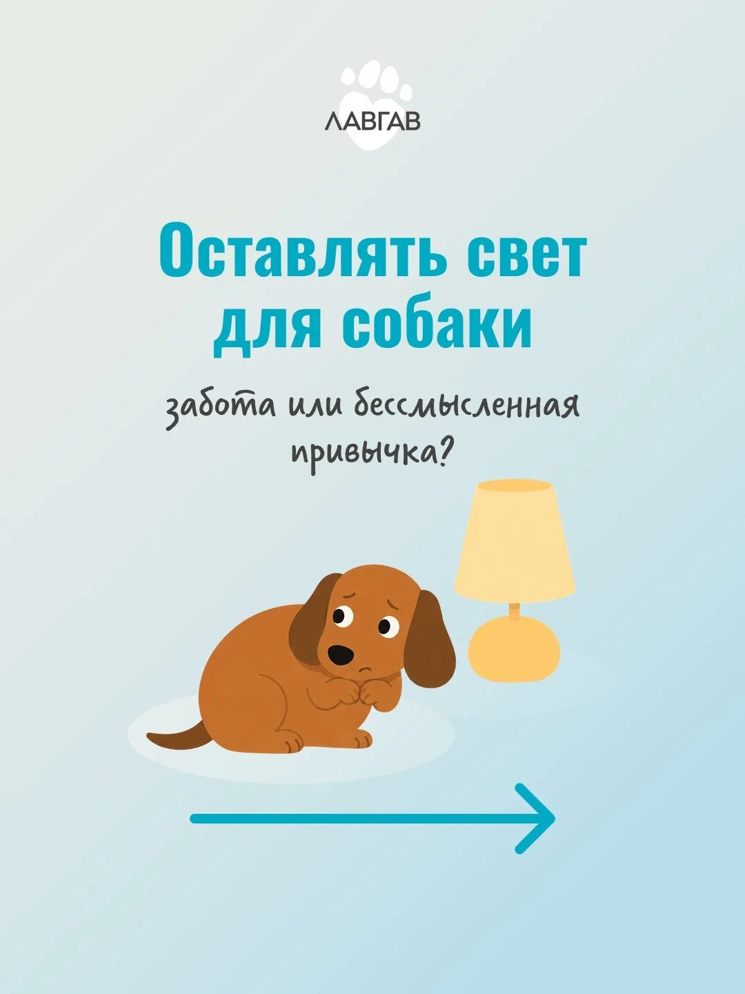 Замечали когда-нибудь, что вашему Мокроносу комфортнее оставаться при свете?

Рассказываем вам, поче