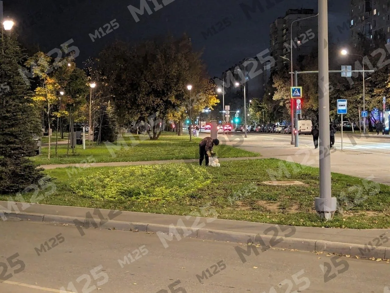 🪏Выкапывающую цветы женщину застали на месте преступления около метро «Бибирево»