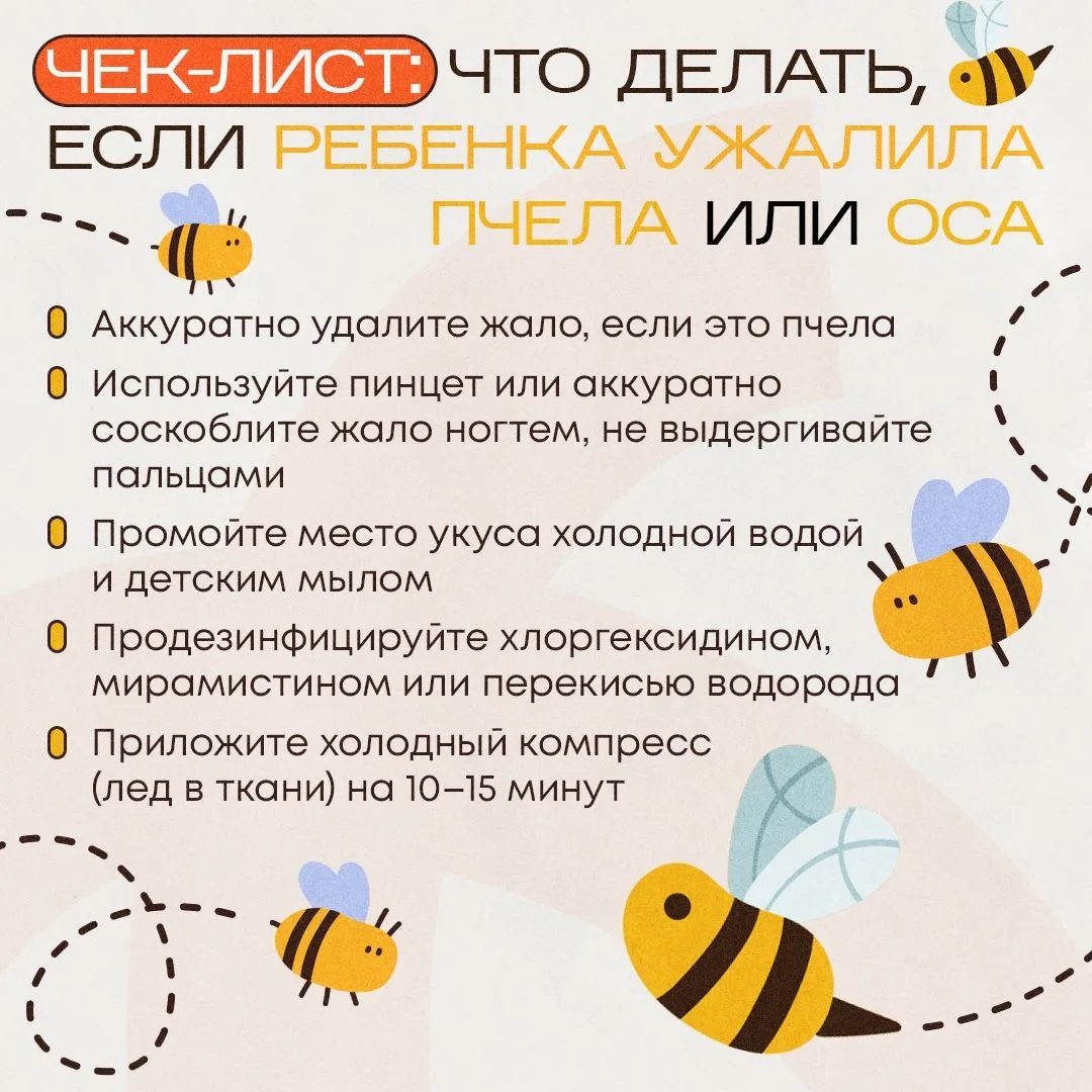 Лето уже через 3️⃣ дня — а значит, впереди прогулки, дача, пикники и больше времени на свежем воздух