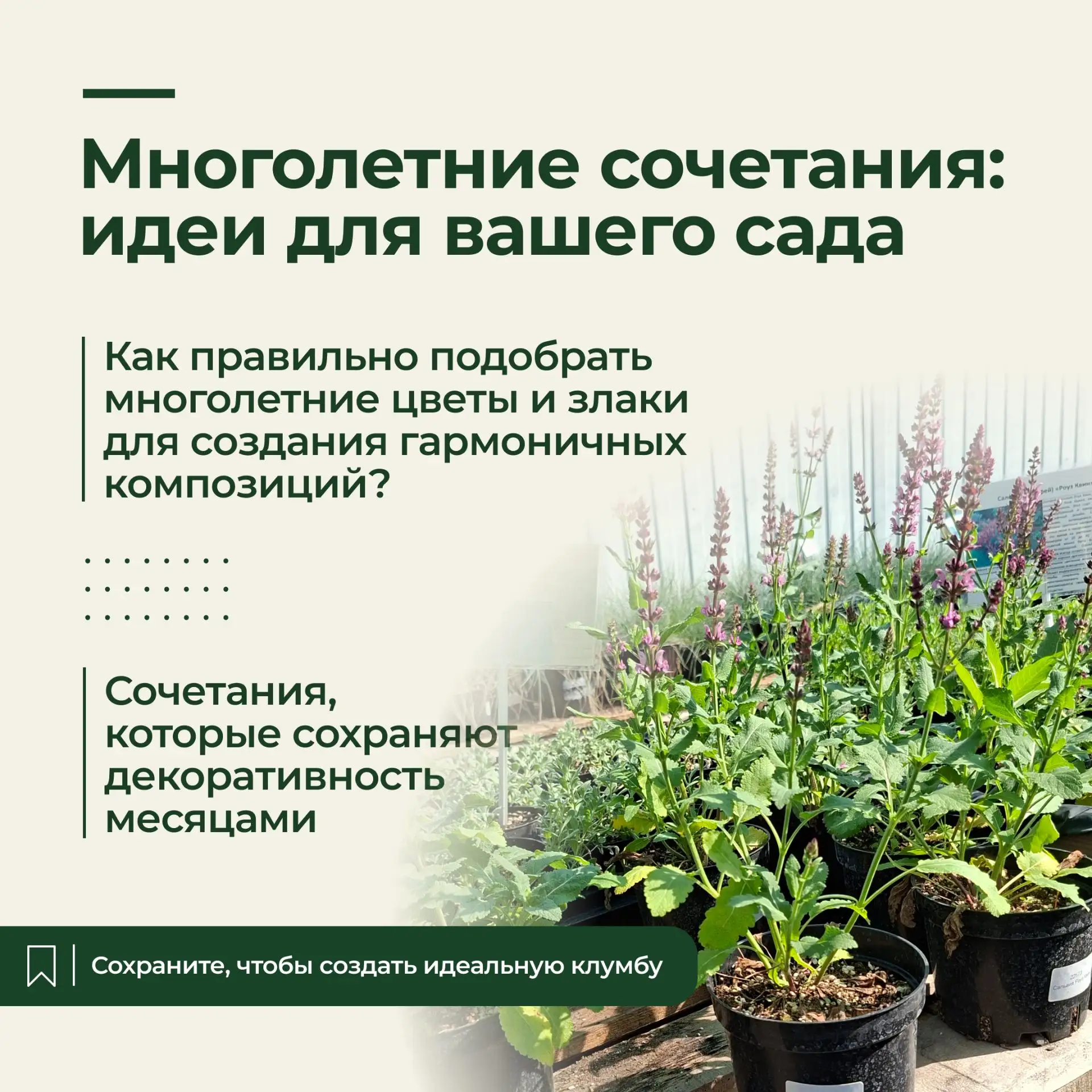 🪷 Многолетние цветы: вдохновение вашего сада

Многолетние растения создают облик сада. Они не требу