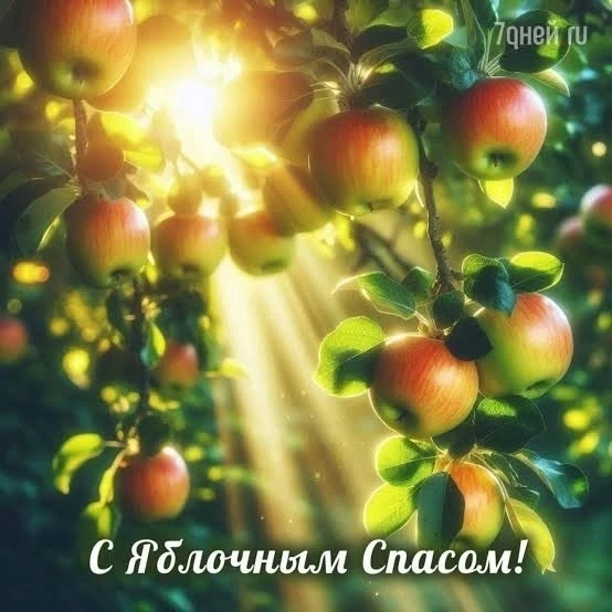 🍏Яблочный Спас, который отмечается 19 августа, в народной традиции символизирует насту...