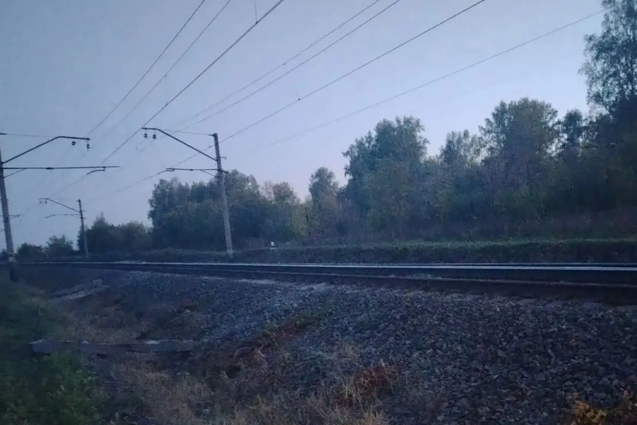 🚆 Сбил насмерть