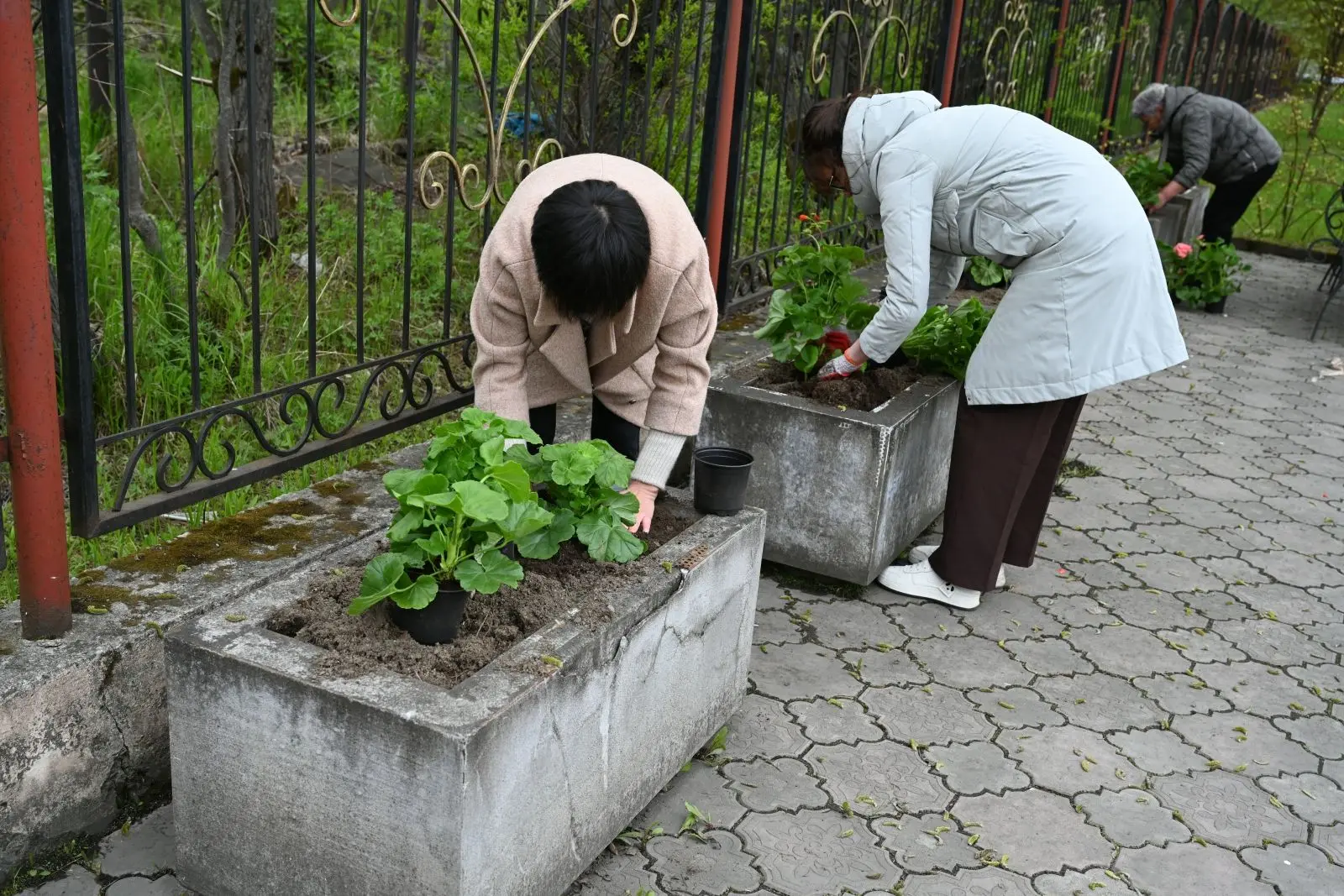 🌸 Поронайский краеведческий музей приступил к традиционному «заселению» территории — и вокруг зацве
