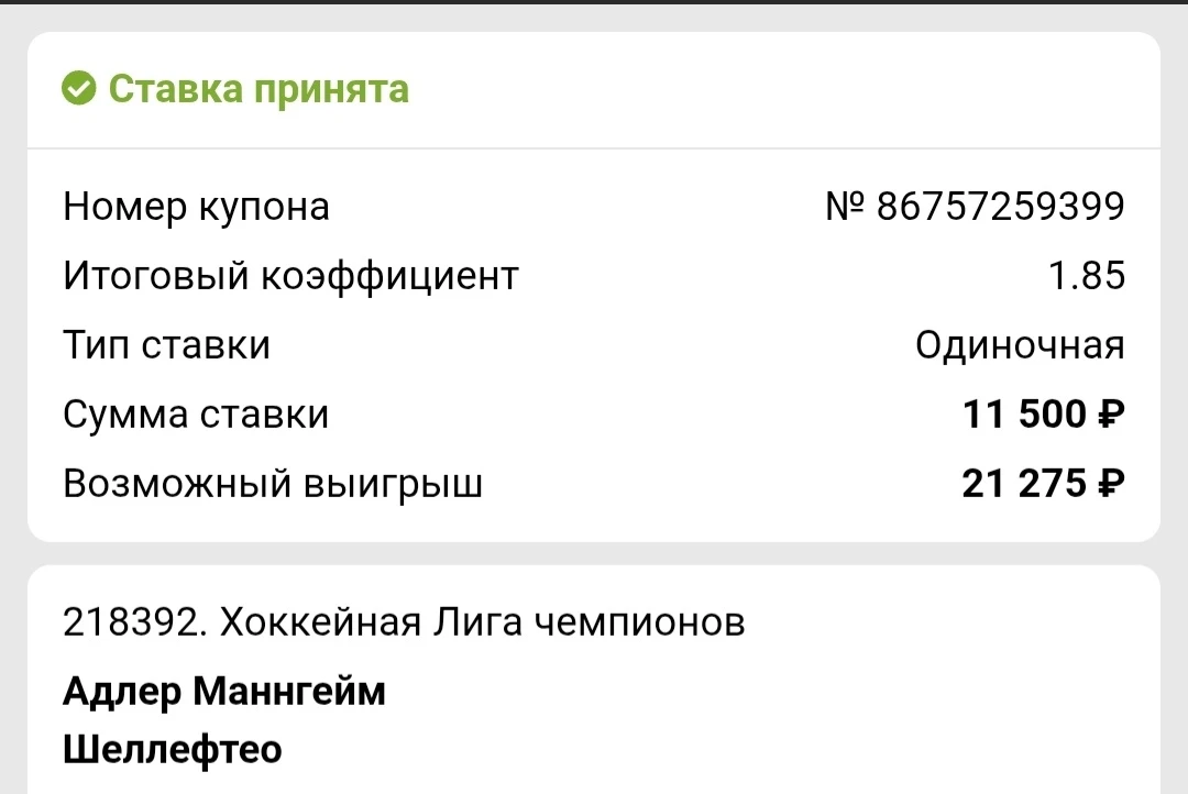 Хоккей 🏒