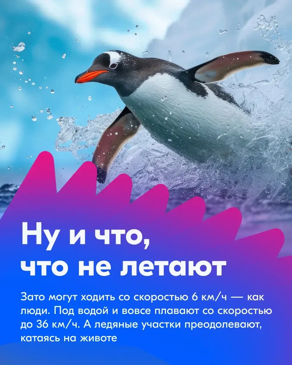 Ловим волну! Делаем ноги! Улыбаемся и машем!   😊 Ко Всемирному дню пингвинов подготовили несколько т