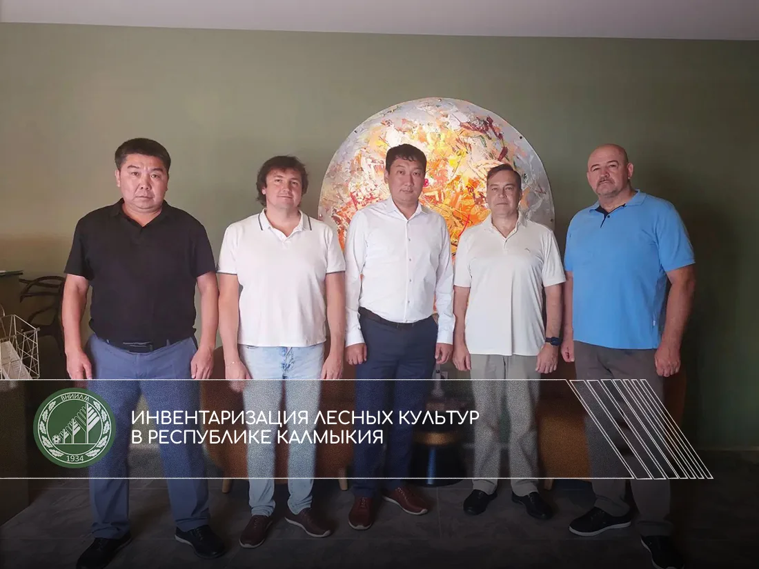 Инвентаризация лесных культур в Республике Калмыкия
