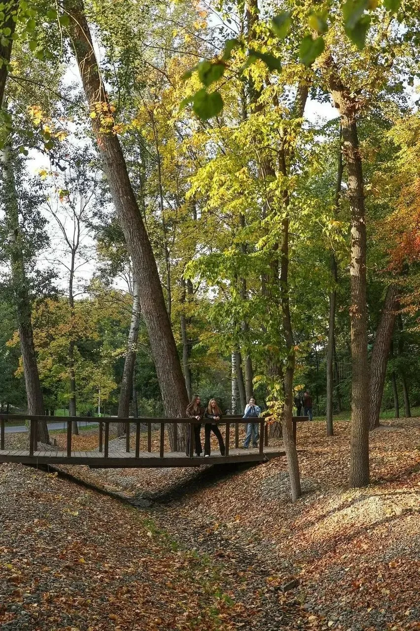 🍁Осень красиво раскрасила город!