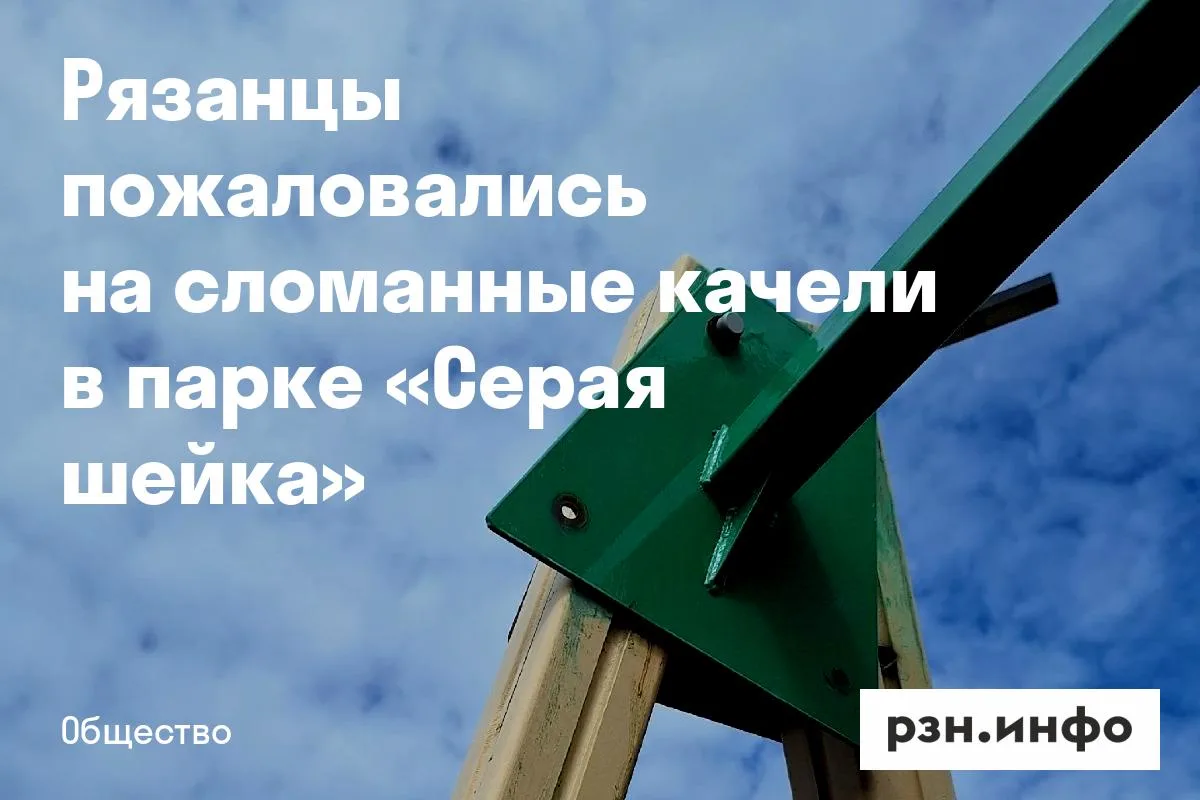 Рязанцы пожаловались на сломанные качели в парке «Серая шейка»