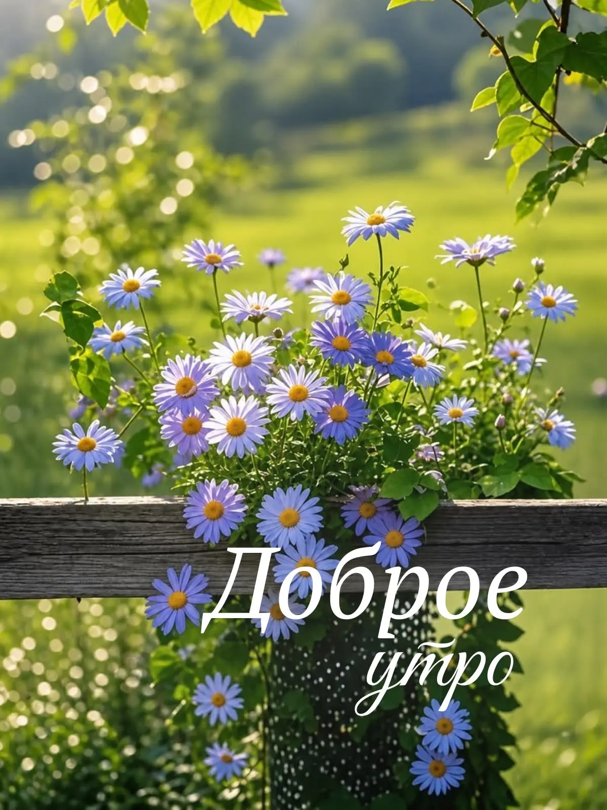 Открытки в МАХ