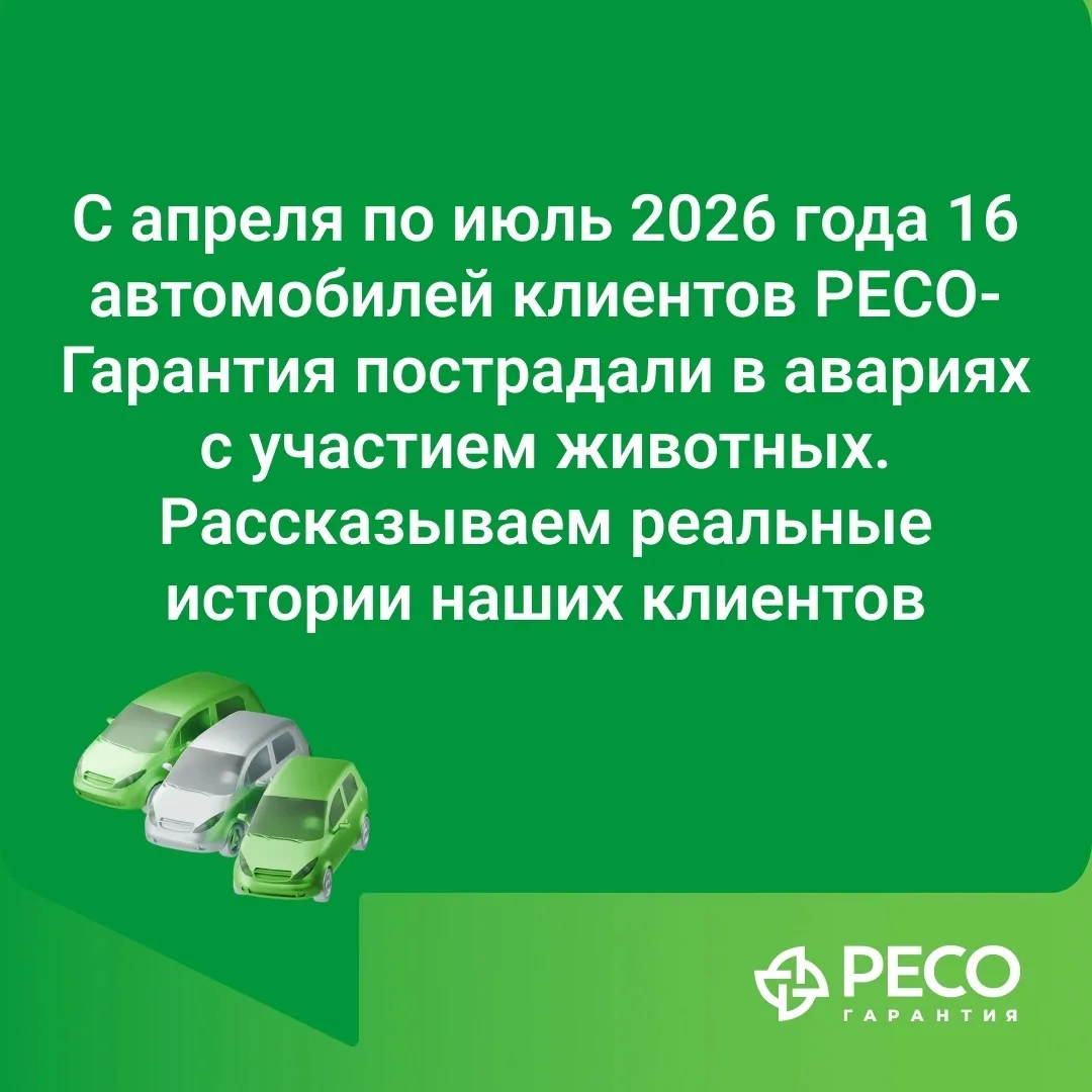 🚗🦌 Когда дорогу перебегают не только пешеходы