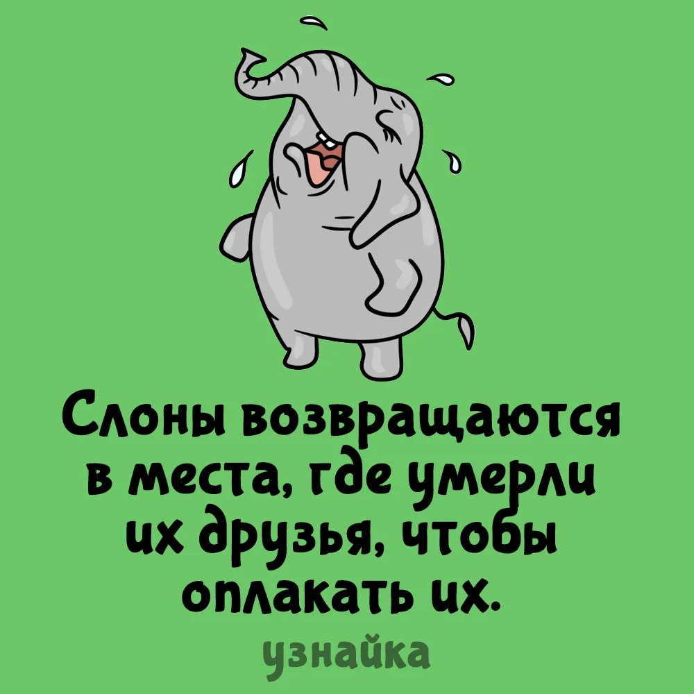 Они все чувствуют😭
Узнайка