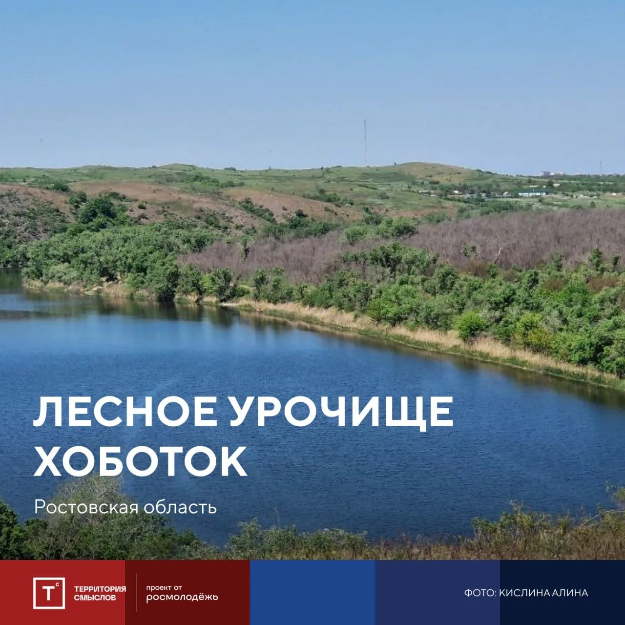 💫 Не просто лес, а целая съёмочная площадка

На фото — лесное урочище Хоботок в Ростовской области 