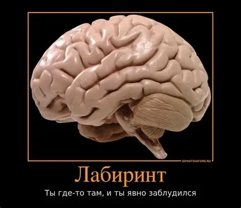 Почему после 10–12 встреч в группе люди меняются внешне? Меняется взгляд, осанка, голос.