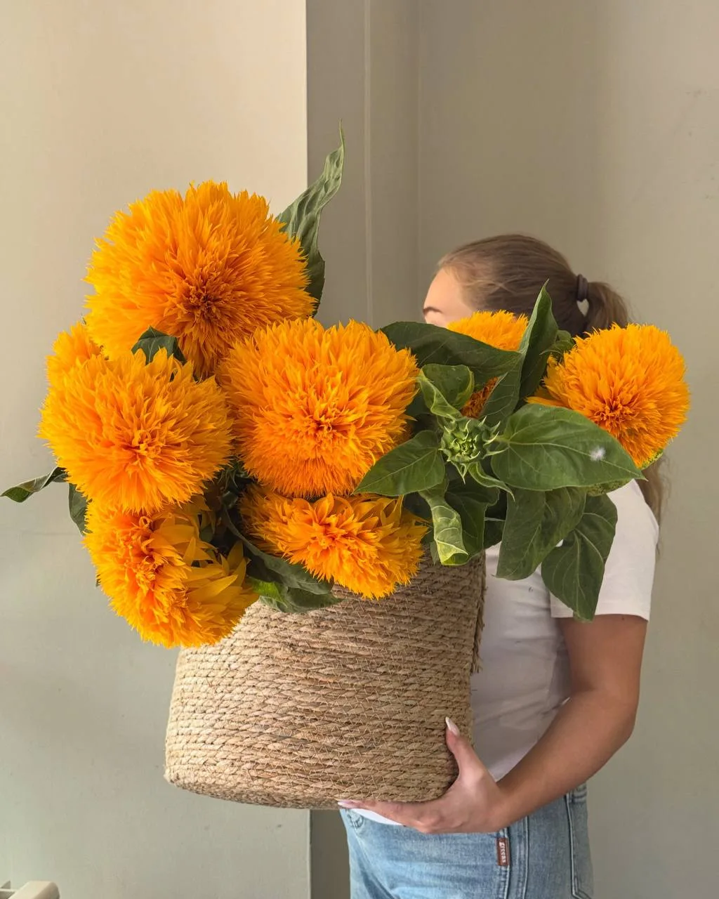 Увидела у vlvt_flowers тедди подсолнухи и не могу перестать о них думать 🥹