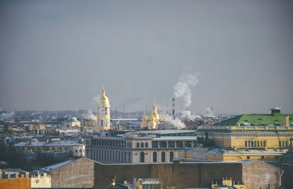 🐻 На Итурупе два медведя устроили драку прямо на дороге