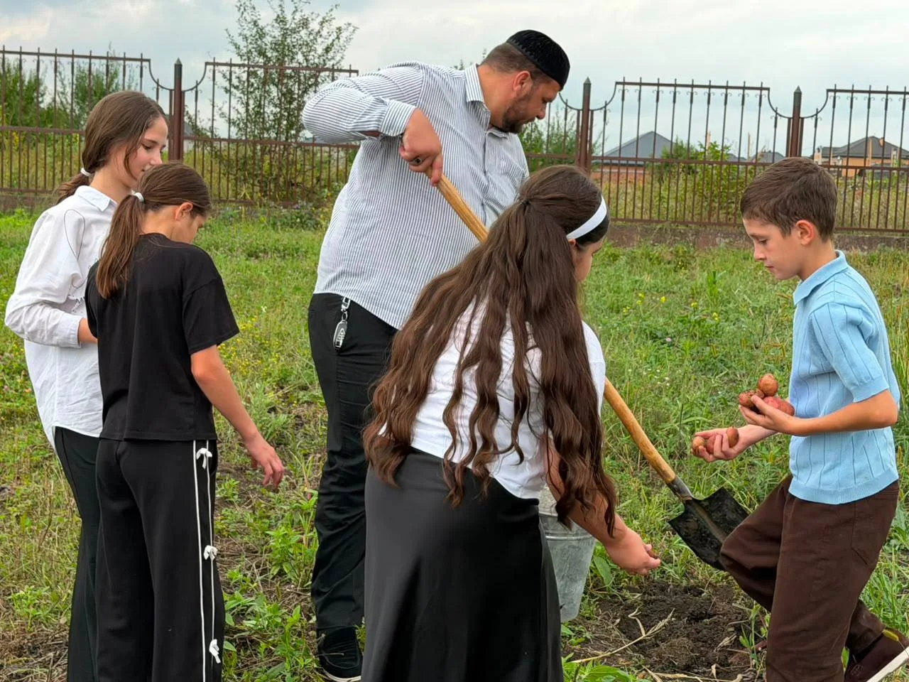 🌱 ОТ ПЕРВОГО РОСТКА — К ПЕРВОМУ УРОЖАЮ