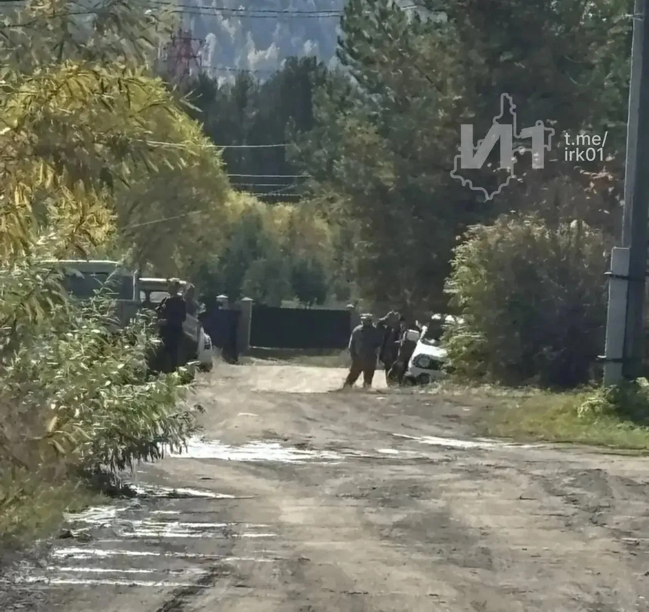❗️В посёлке Большой Луг медведь напал на собаку