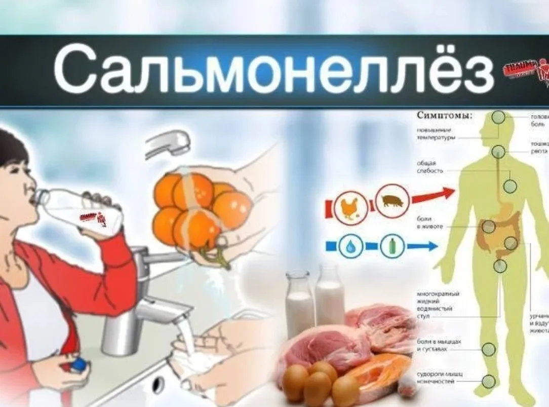 Кишечные инфекции
Сальмонеллез
В Российской Федерации ситуация по острым кишечным инфекциям (ОКИ) ст