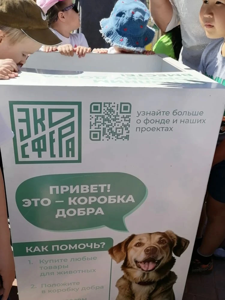 Видео