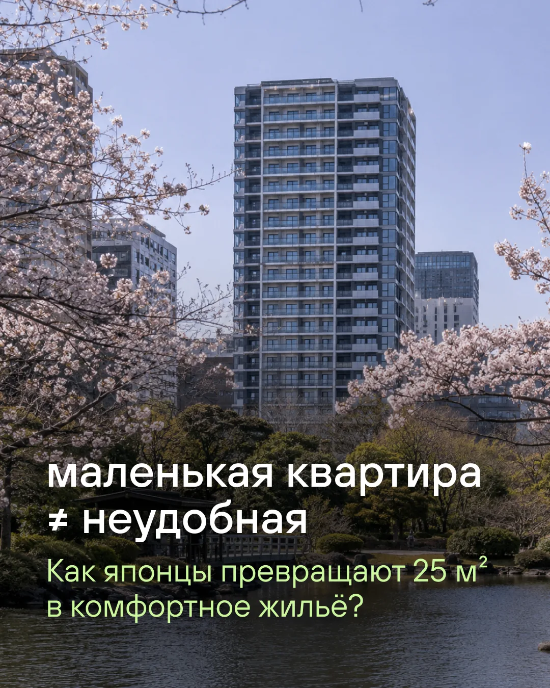 Вам бы хватило 25 м² для комфортной жизни?
А вот японцам очень даже 🔥

Открываем новую рубрику, в к