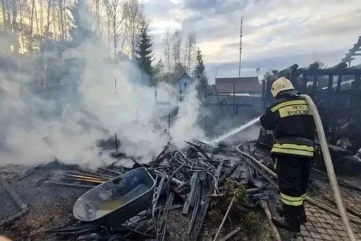 В Ленобласти 65 пожарных потушили 8 возгораний за сутки
