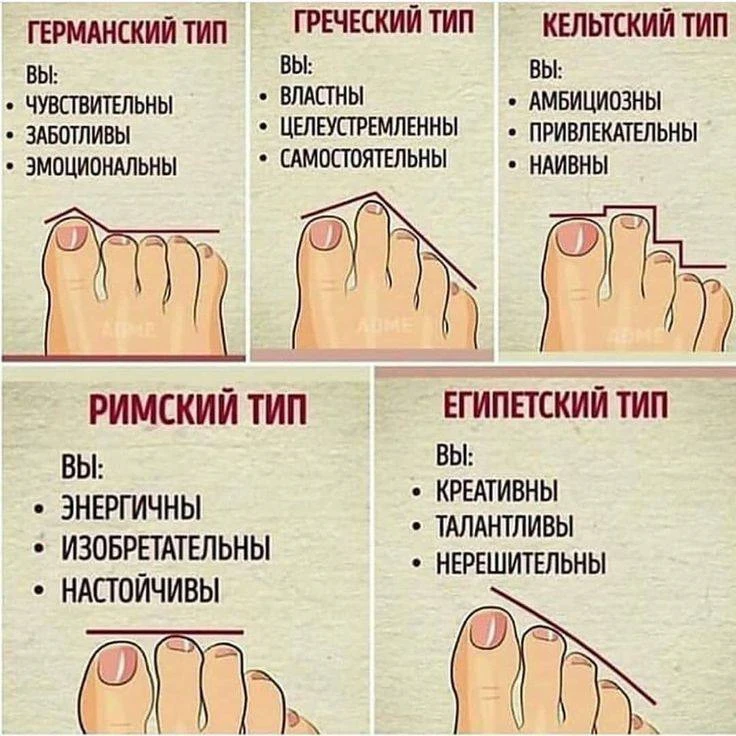 Виды стоп 👣