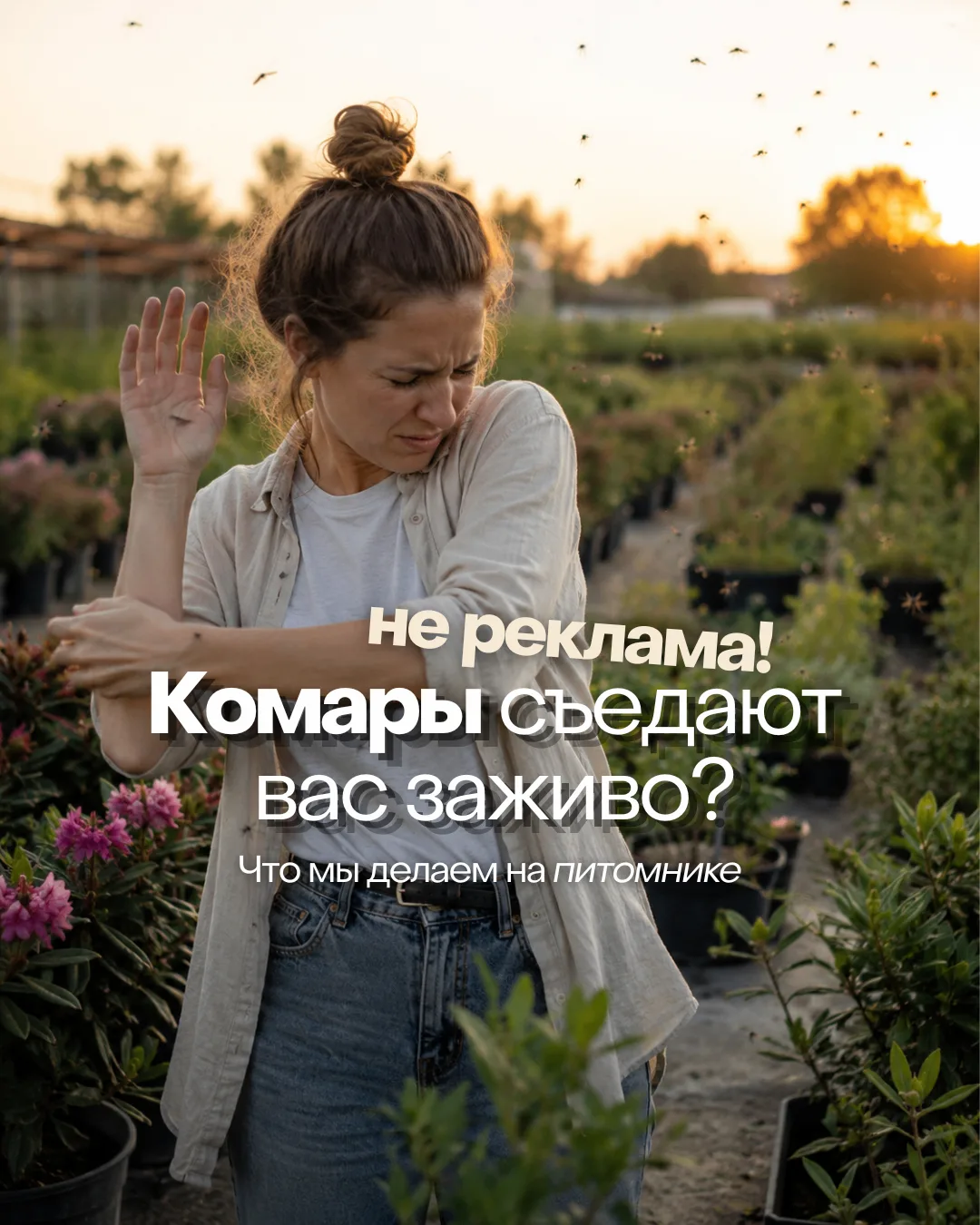 ❗️😱Комары съедают вас заживо? Что мы делаем на питомнике

 Комары не дают спокойно посидеть в саду,