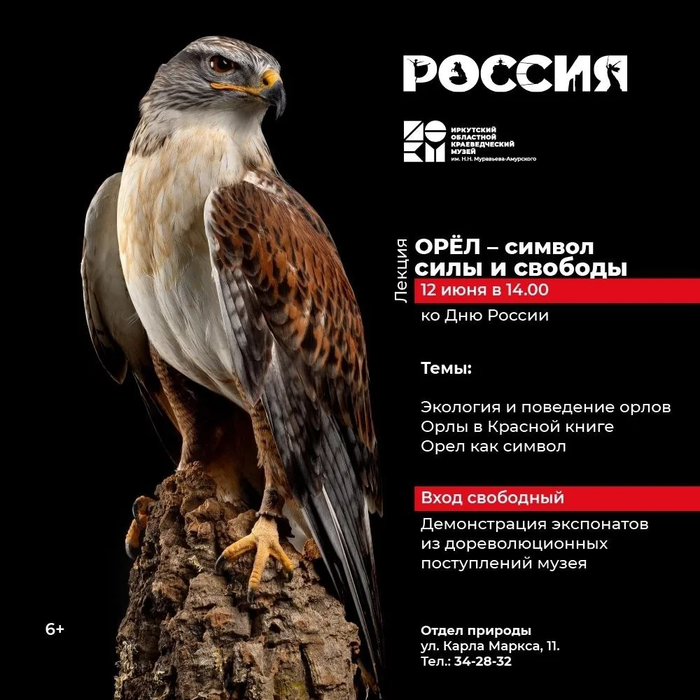 🇷🇺В День России 12 июня в отделе природы пройдет лекция "Орел - символ силы и свободы...