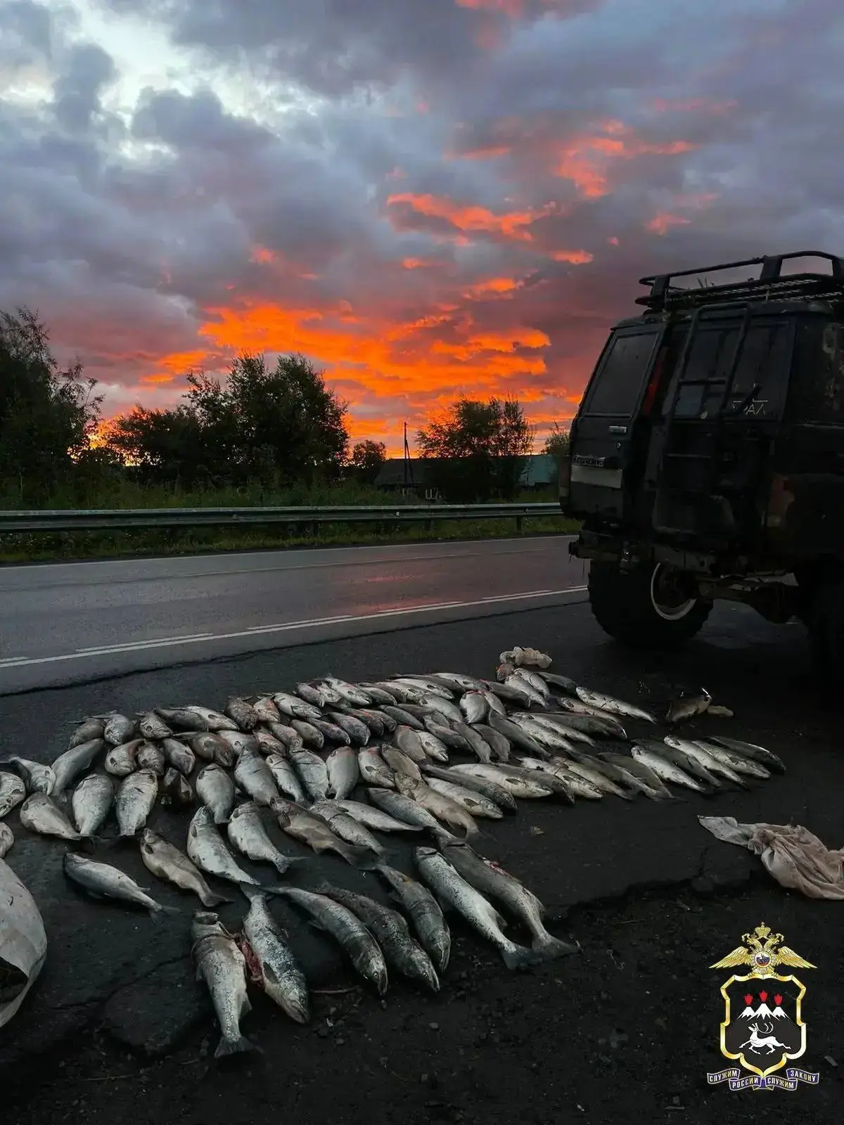 На Камчатке ежедневно задерживают браконьеров