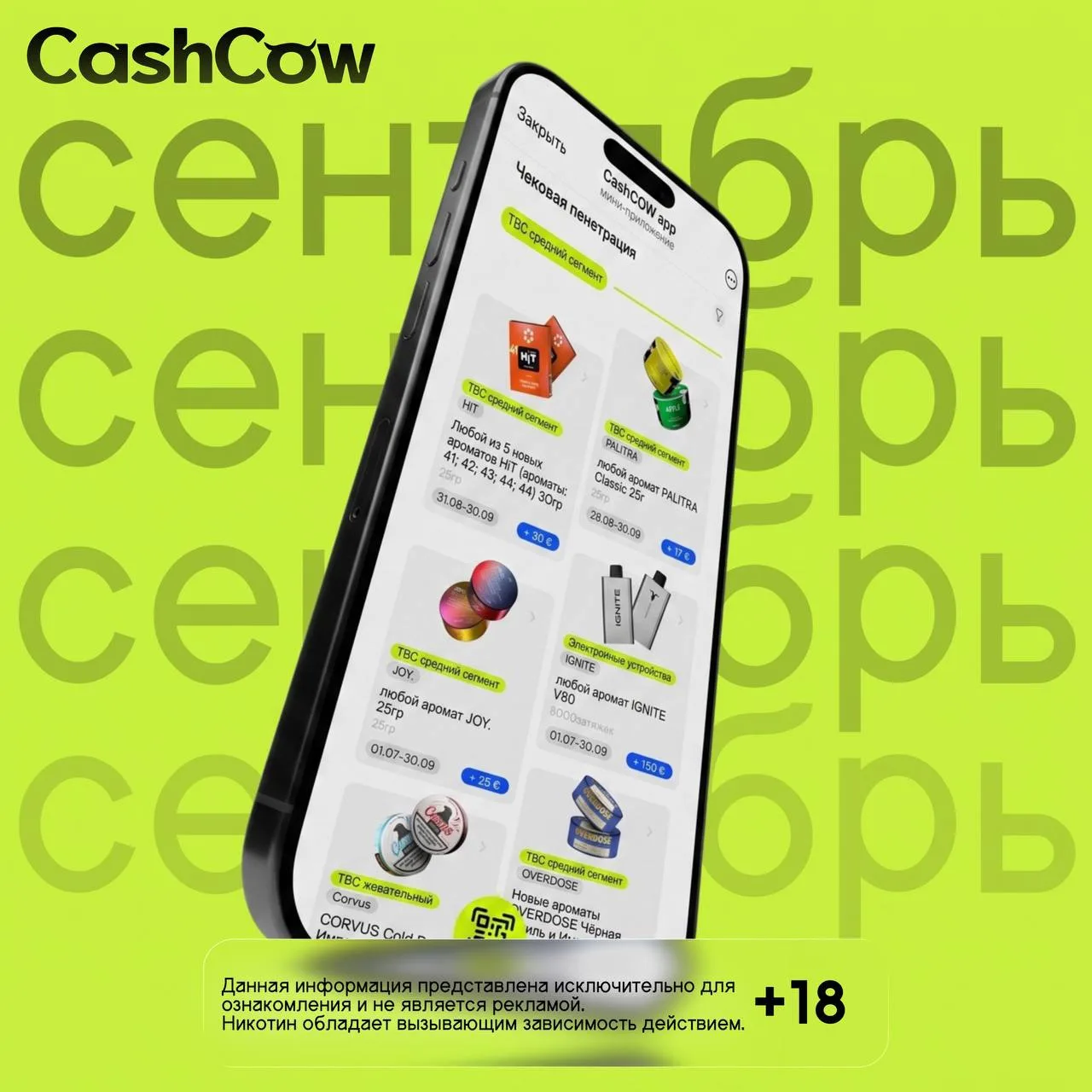 Сентябрь с CashCow ⚡️
