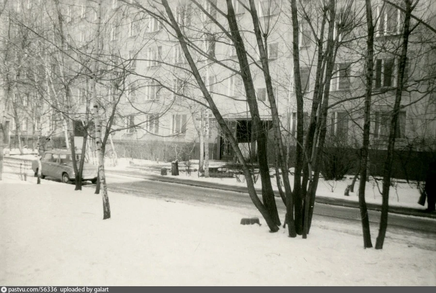 Дмитровское шоссе, д.37,корп.1 Двор