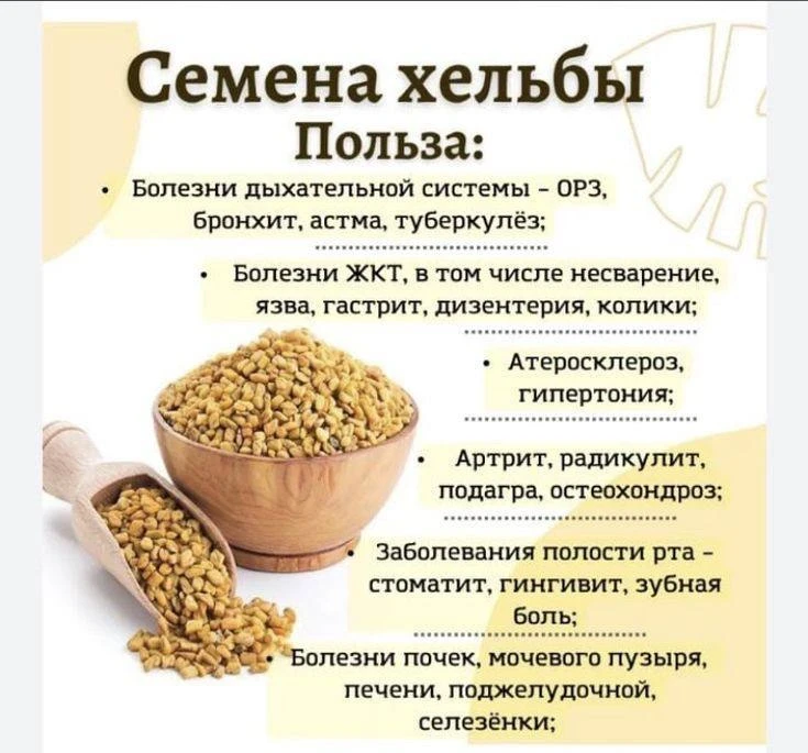 🌿Польза семян хельбы
