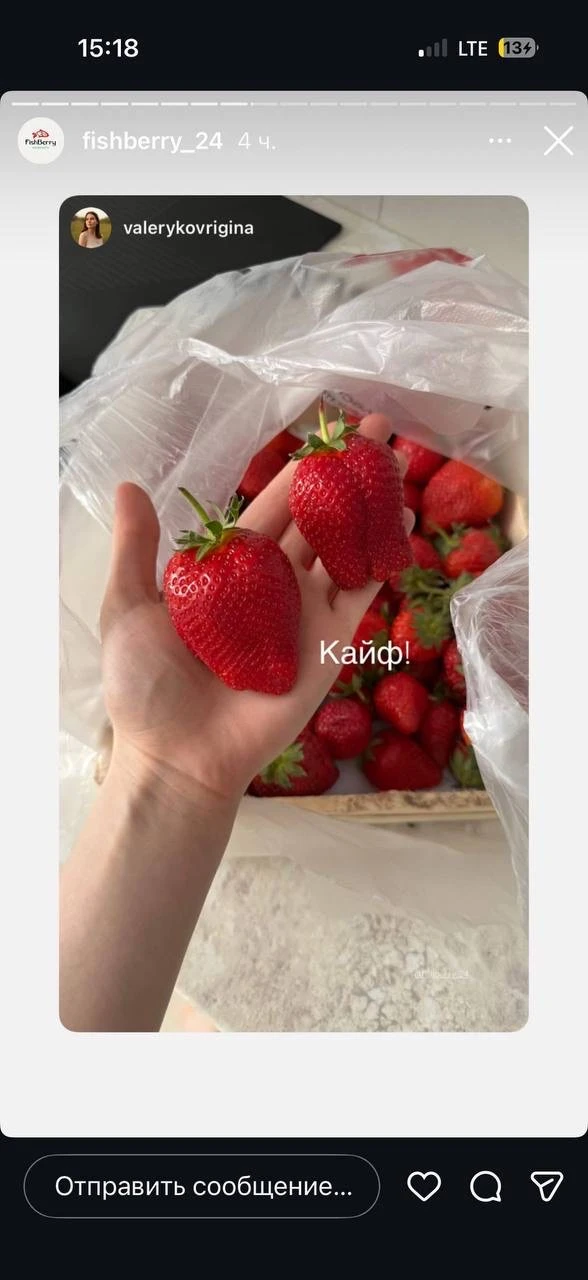 КЛУБНИКА В НАЛИЧИИ   🍓🍓🍓🍓🍓🍓🍓🍓🍓🍓🍓  •Калибр супер крупный •Качество высшее  •Запах невероятный  •Вкус 