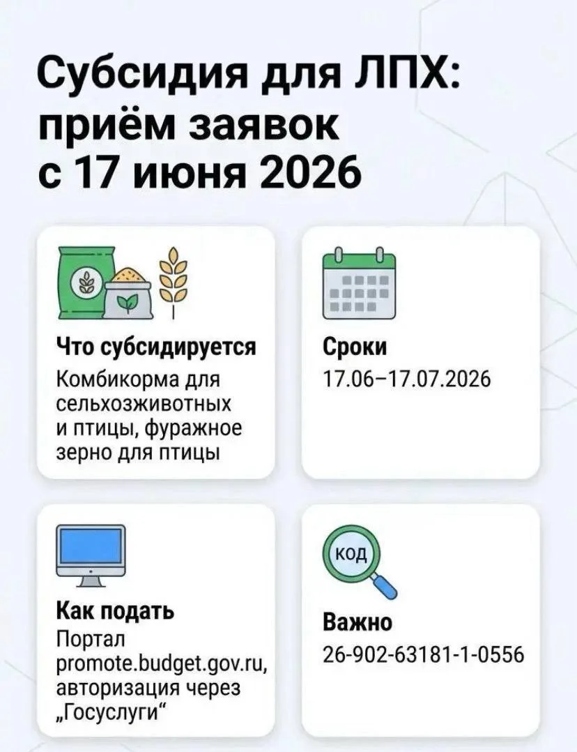 Внимание! Прием документов на субсидию для ЛПХ стартует с 17 июня✅

Администрация Поронайского муниц
