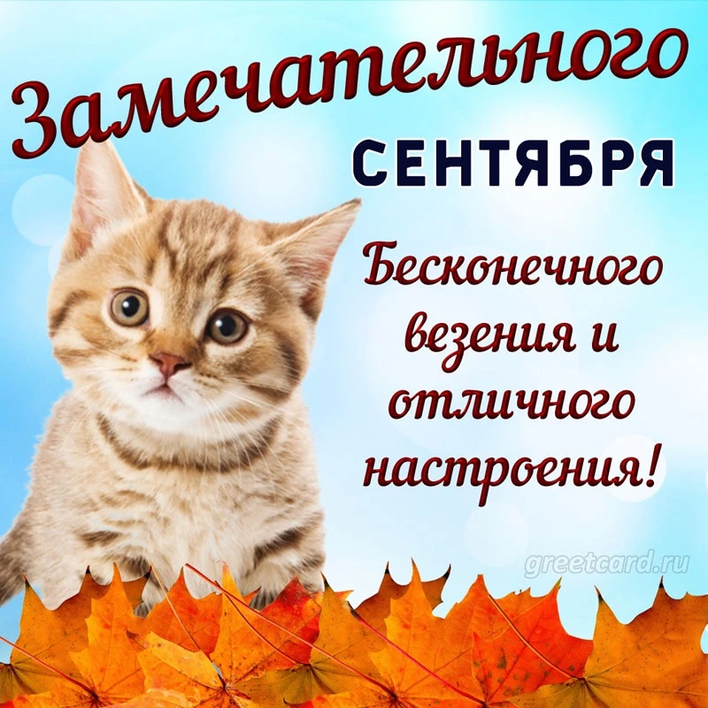 Список качественных каналов в МАХ | Подпишись!❤️