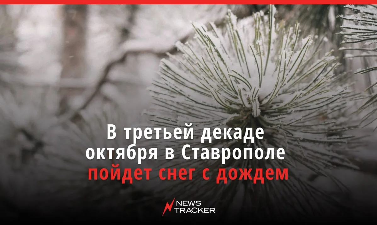 В ближайшие дни значительных колебаний температуры в Ставрополе не прогнозируют: днем о...