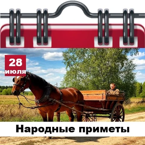 Народные приметы 28 июля

✅ Ливень с утра – к яркому солнцу.
✅ Вечерний туман – на следующий день по