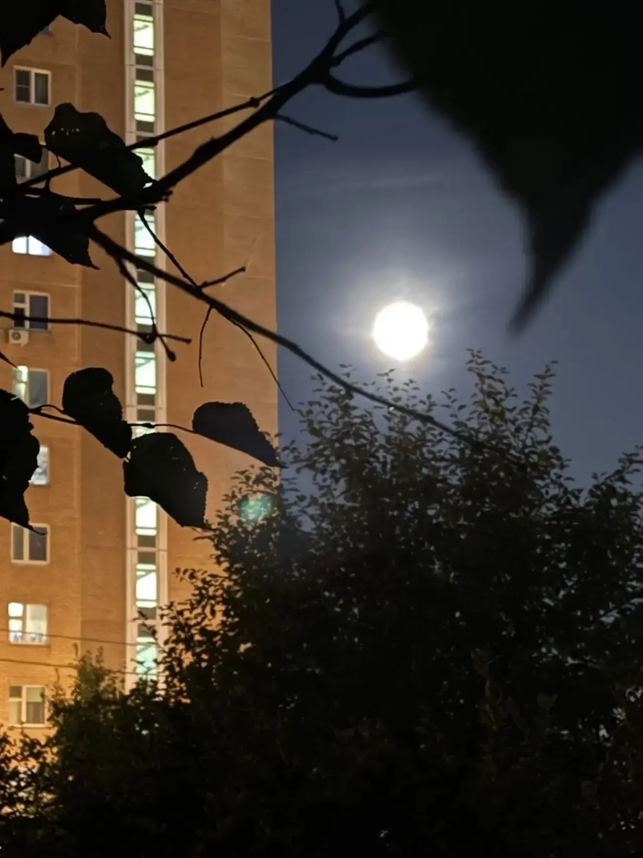 🌕 Магия лунного света в района Северный