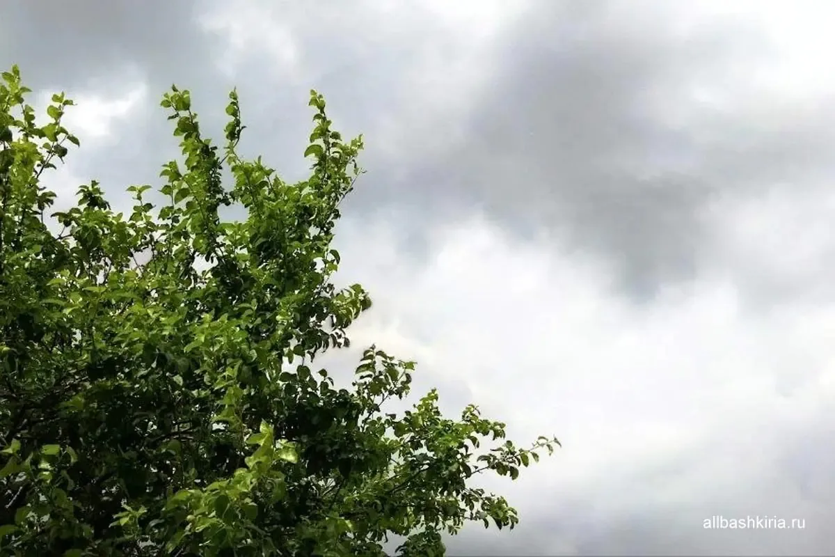 🌧 Погода в Башкирии — 15 июня

Башгидромет предупреждает:
— Ночью: осадки в отдельных районах, тума