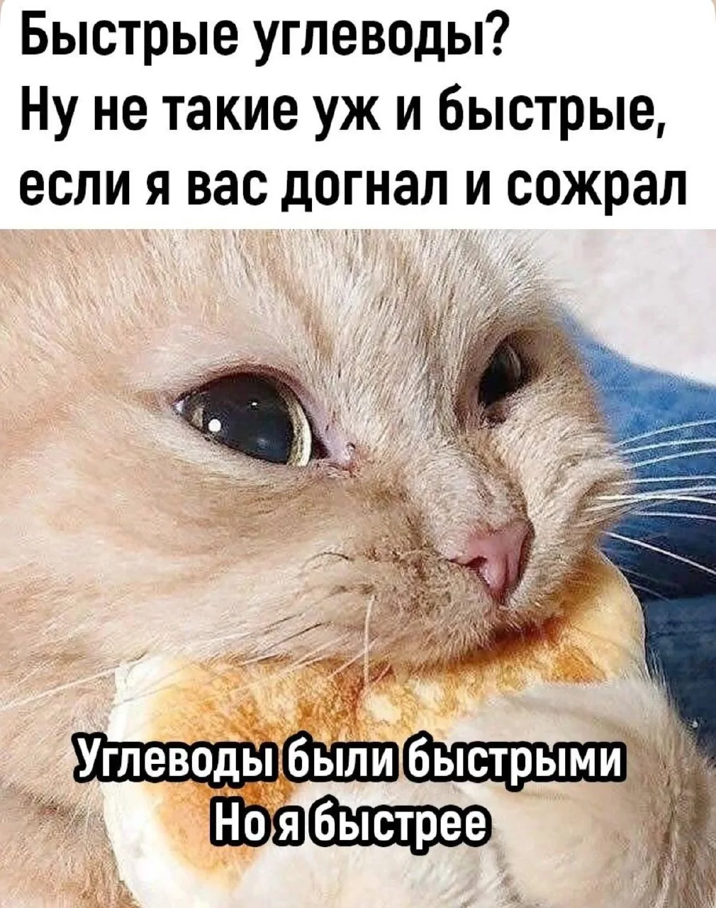 В мае 2026 года в крупных торговых сетях России минимальные цены на базовый набор социально значимых